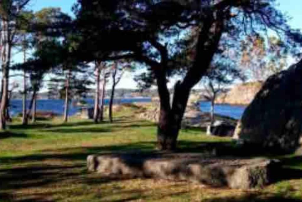 Idyllisk Lite Anneks Med Enestaende Uteplass Ларвик Экстерьер фото